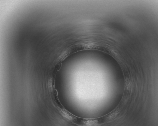 X0000068310670200604281737