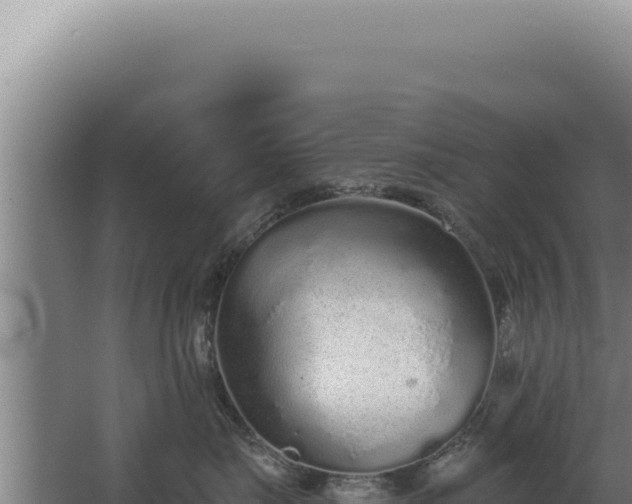 X0000068310671200604281737