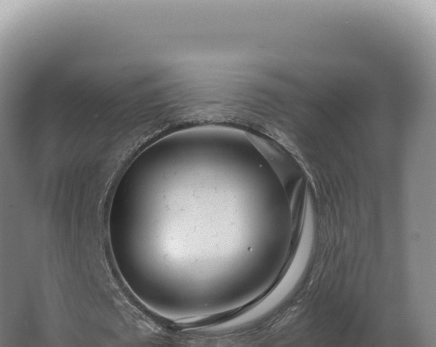 X0000068310673200604281736