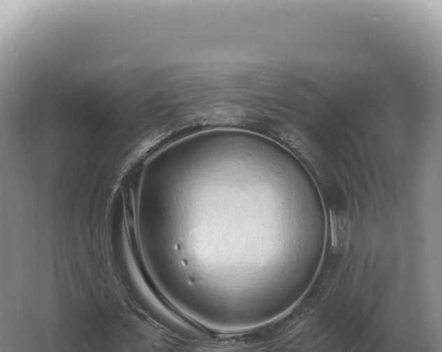 X0000068310675200604281736