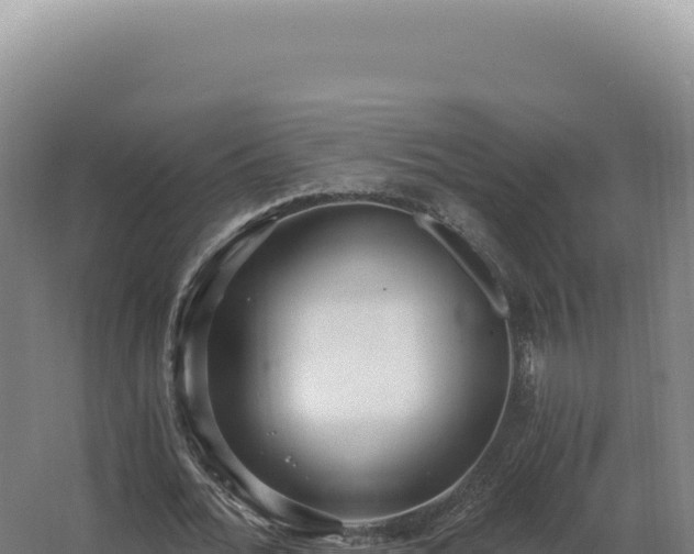 X0000068310676200604281736