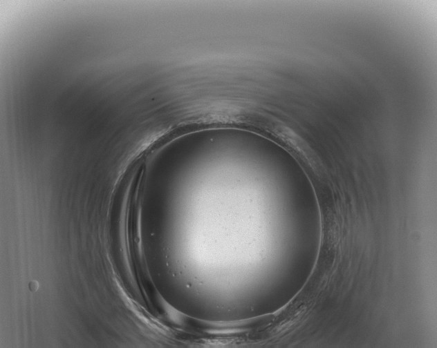 X0000068310677200604281736