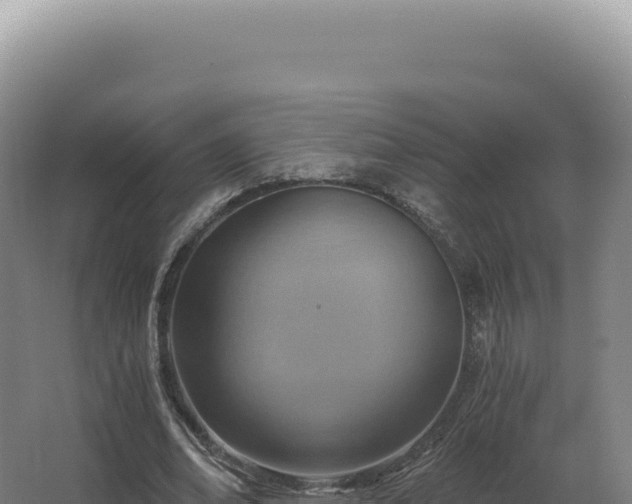 X0000068310678200604281736