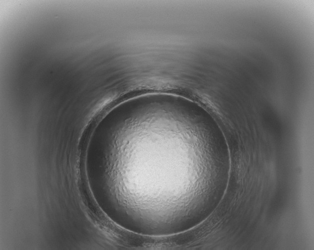 X0000068310679200604281736