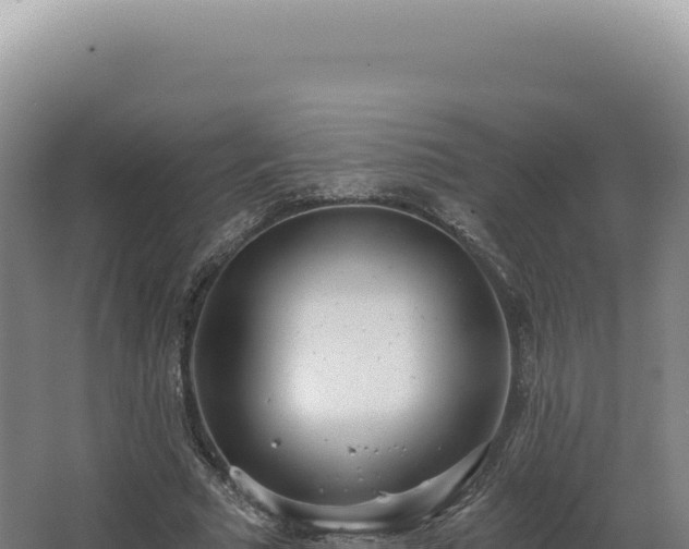 X0000068310681200604281736