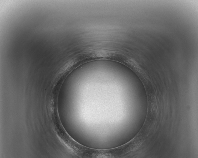 X0000068310683200604281736