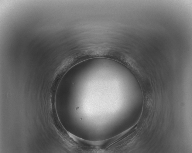 X0000068310685200604281736