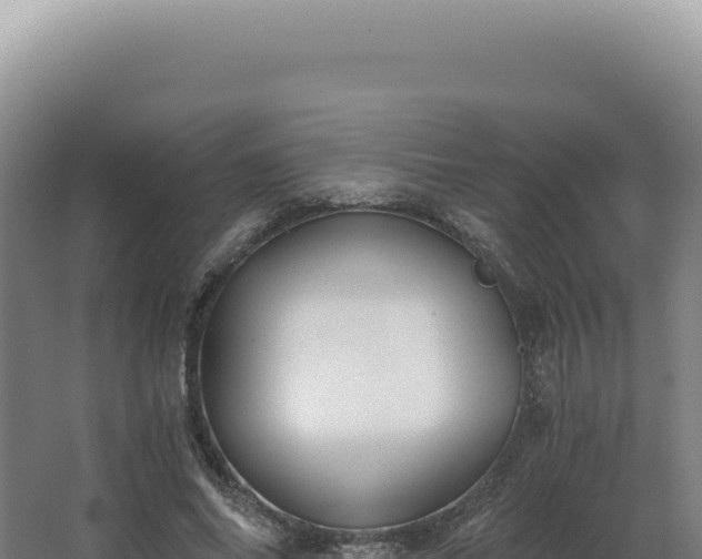 X0000068310686200604281736