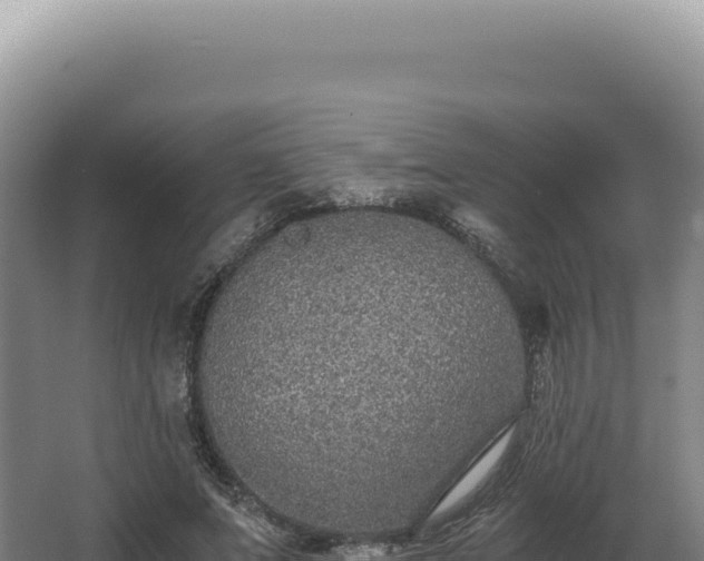 X0000068310687200604281736