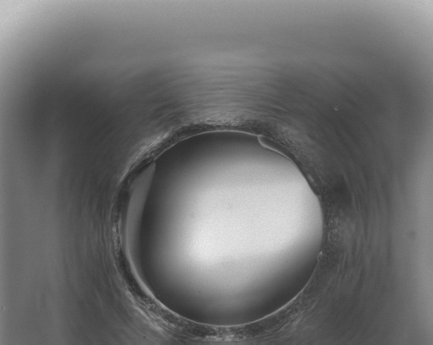 X0000068310688200604281736