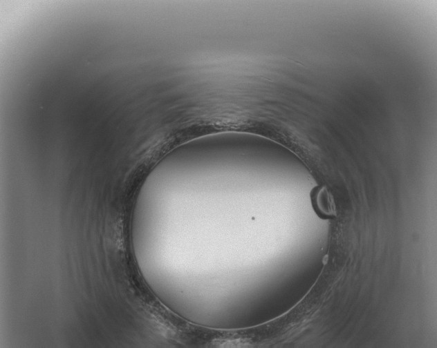 X0000068310689200604281736