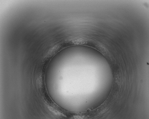 X0000068310690200604281736