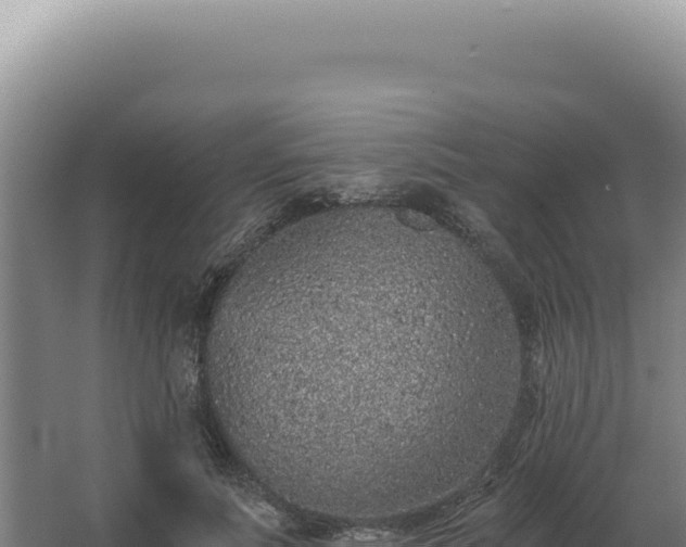 X0000068310691200604281736