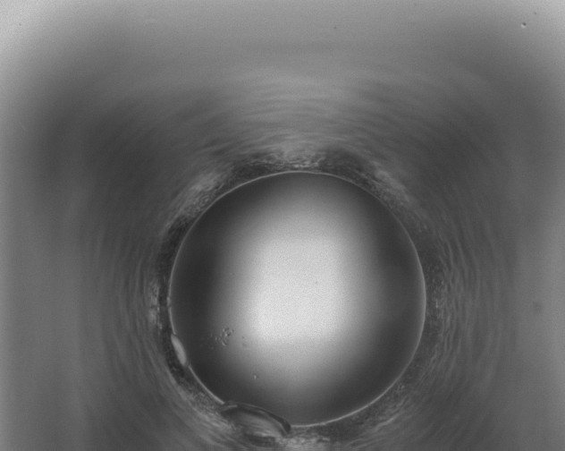 X0000068310693200604281736