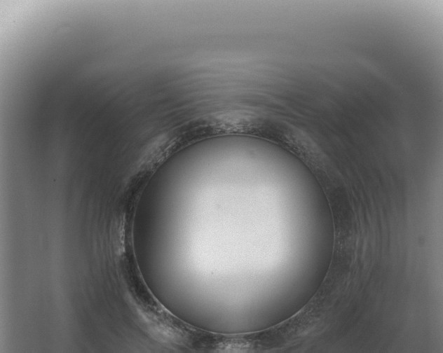 X0000068310694200604281736