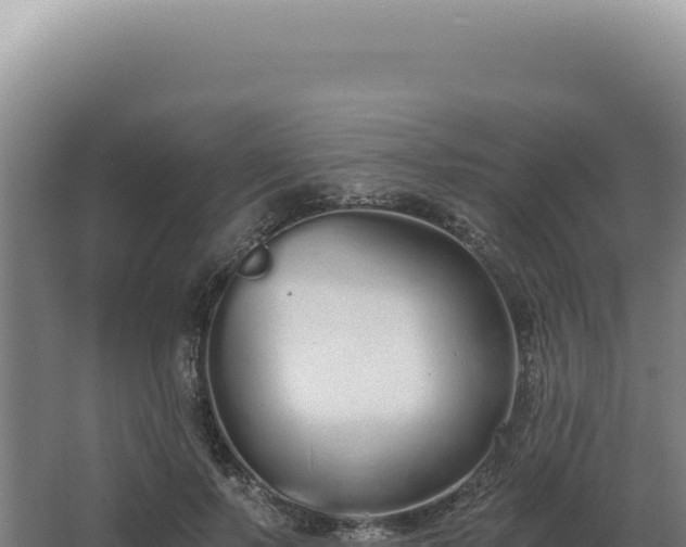 X0000068310695200604281736