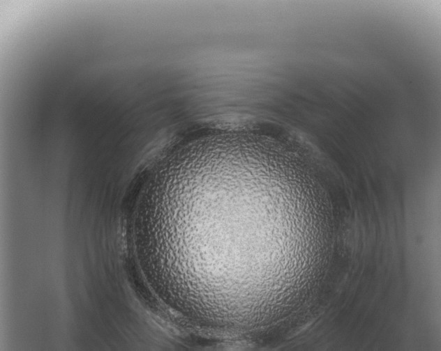 X0000068310696200604281736