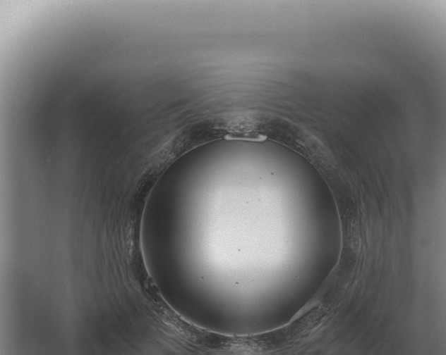 X0000068310697200604281736