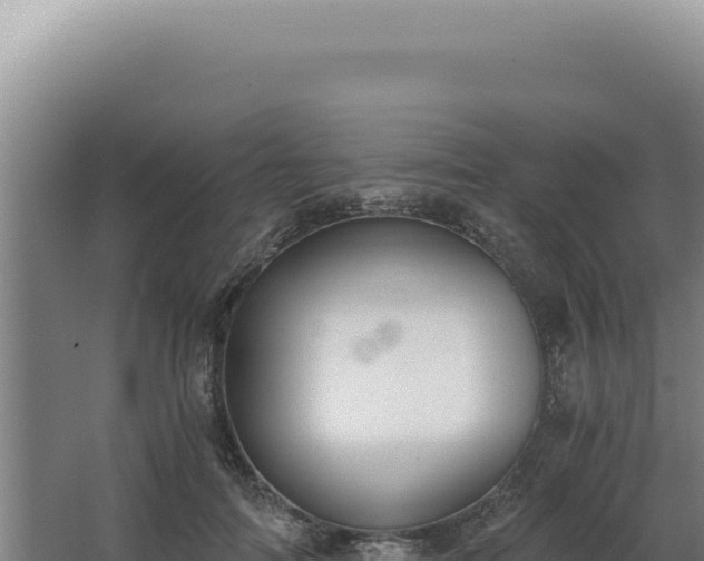 X0000068310698200604281736