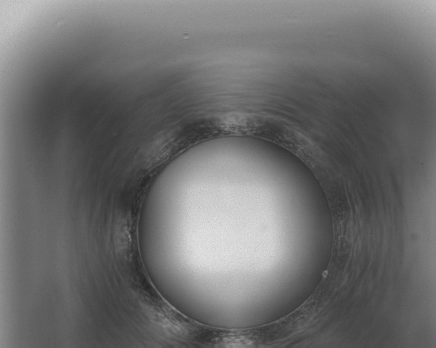 X0000068310702200604281736