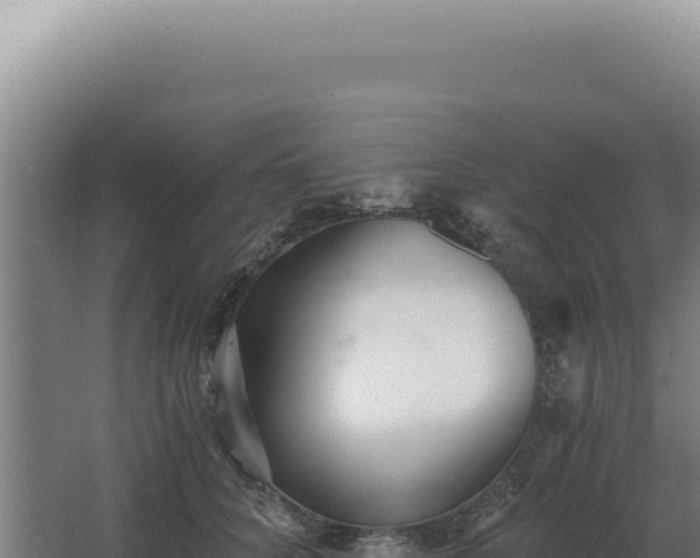 X0000068310704200604281736