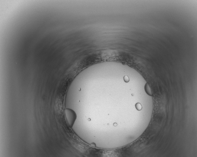 X0000068310705200604281736