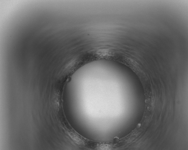 X0000068310710200604281735