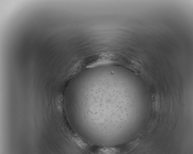 X0000068310712200604281735