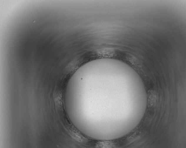 X0000068310713200604281735