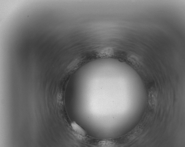 X0000068310714200604281735