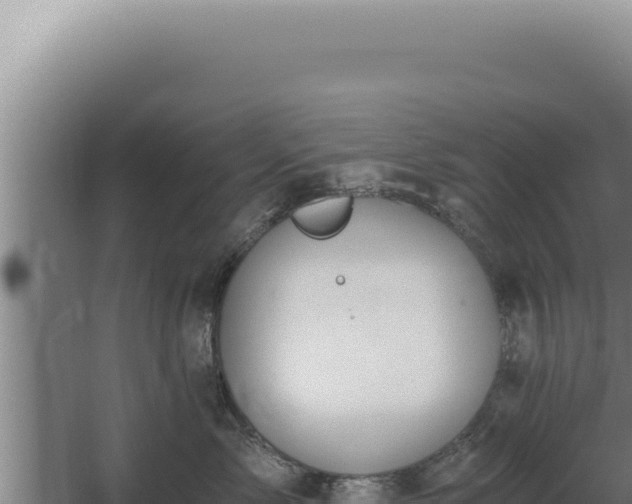 X0000068310717200604281735