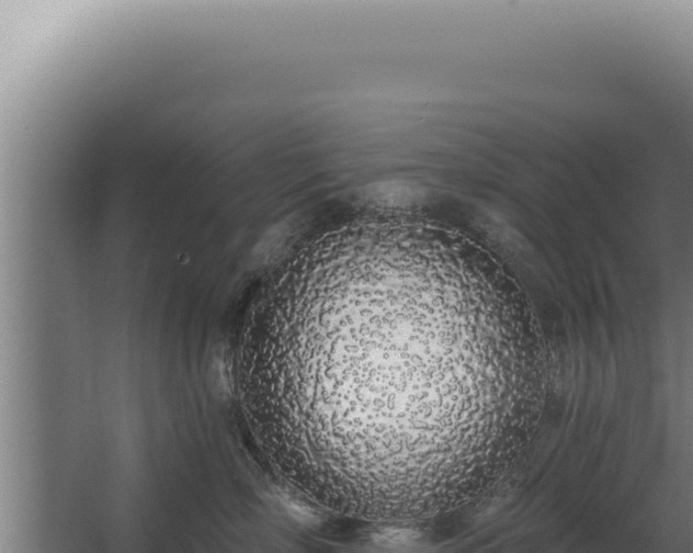 X0000068310718200604281735