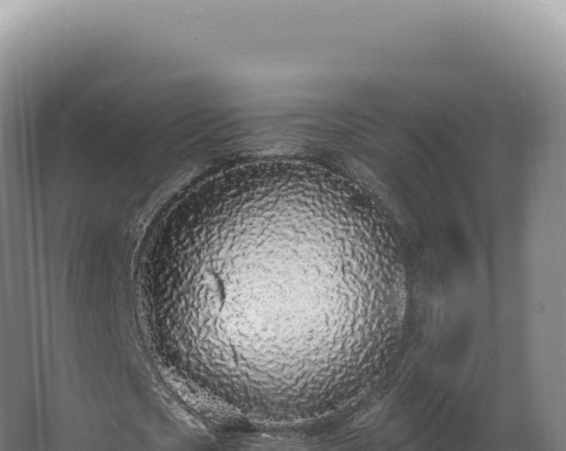 X0000068310721200604281734