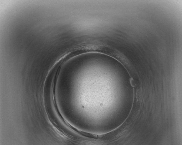 X0000068310722200604281735