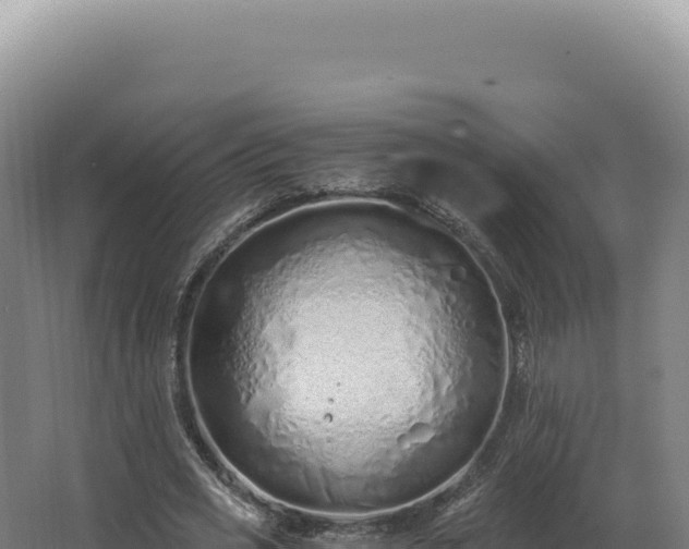 X0000068310725200604281735