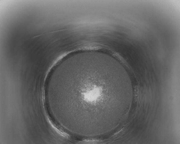 X0000068310726200604281735