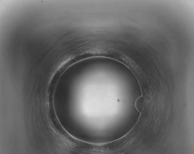 X0000068310727200604281735