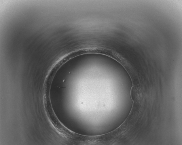 X0000068310728200604281735