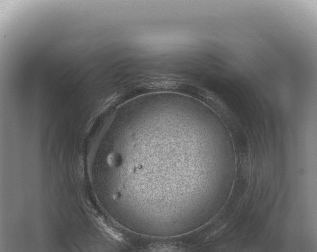 X0000068310729200604281735