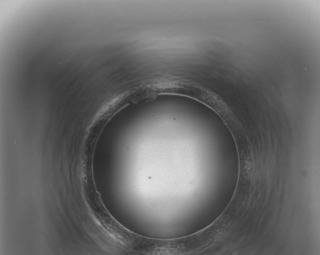 X0000068310732200604281735