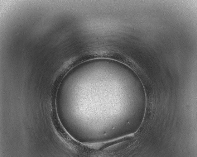 X0000068310734200604281735