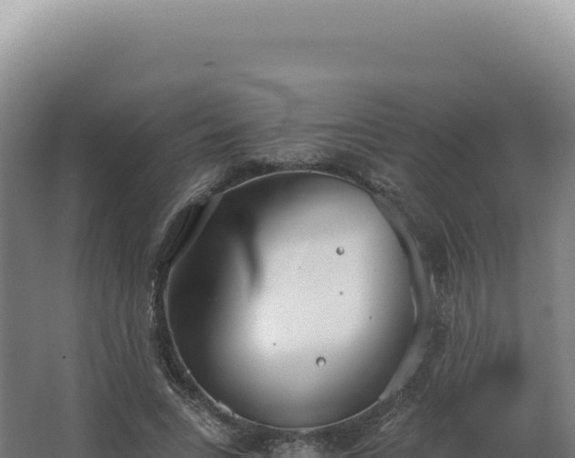 X0000068310735200604281735