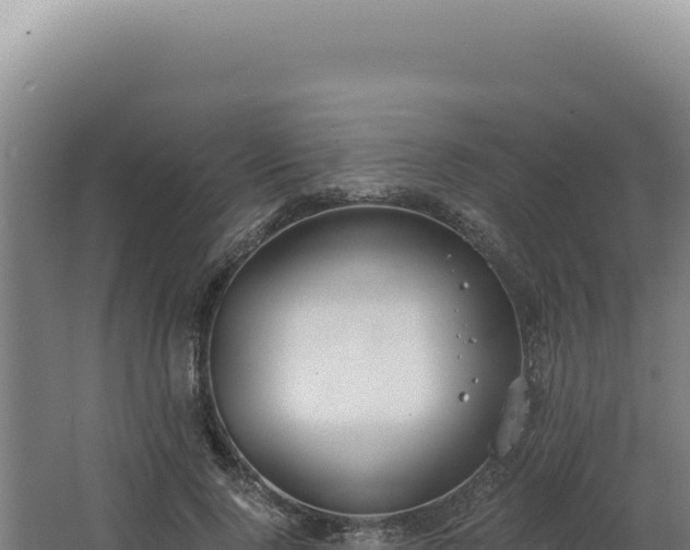 X0000068310740200604281735