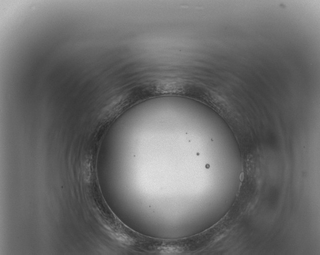 X0000068310741200604281735