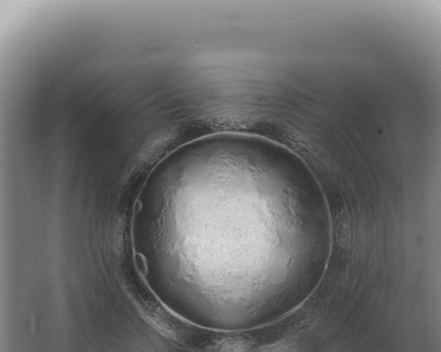 X0000068310742200604281735