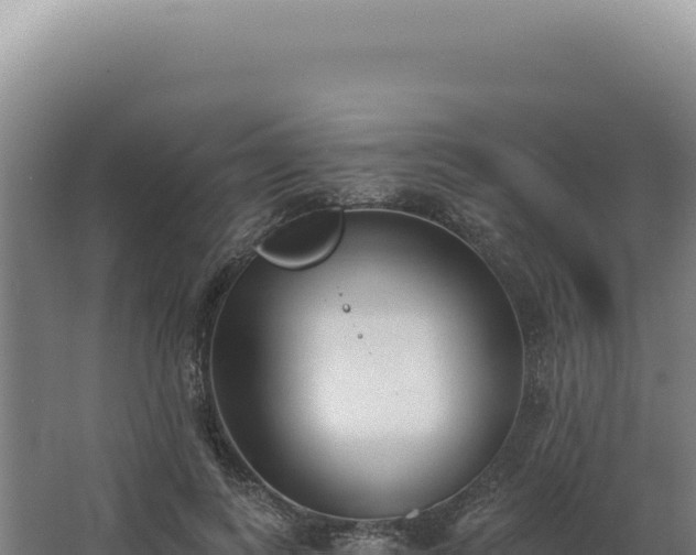 X0000068310743200604281735