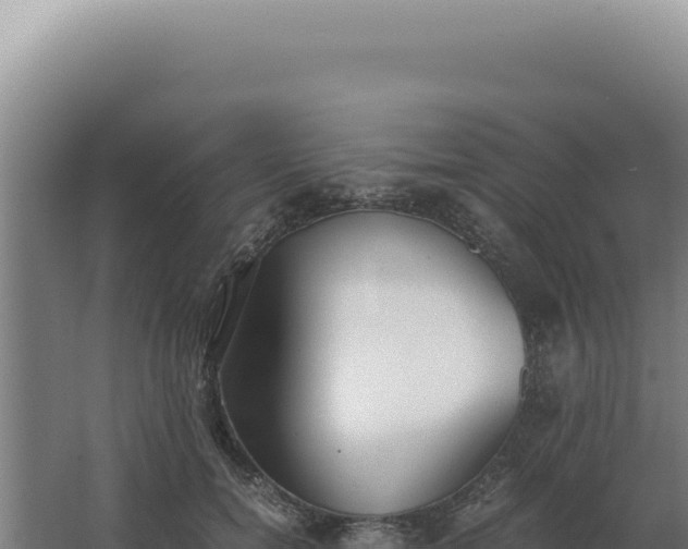 X0000068310750200604281735