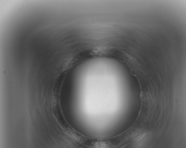 X0000068310751200604281735