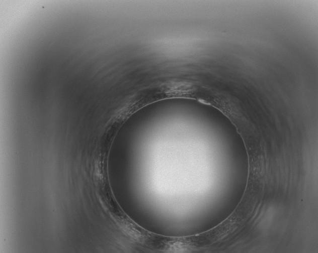 X0000068310755200604281735