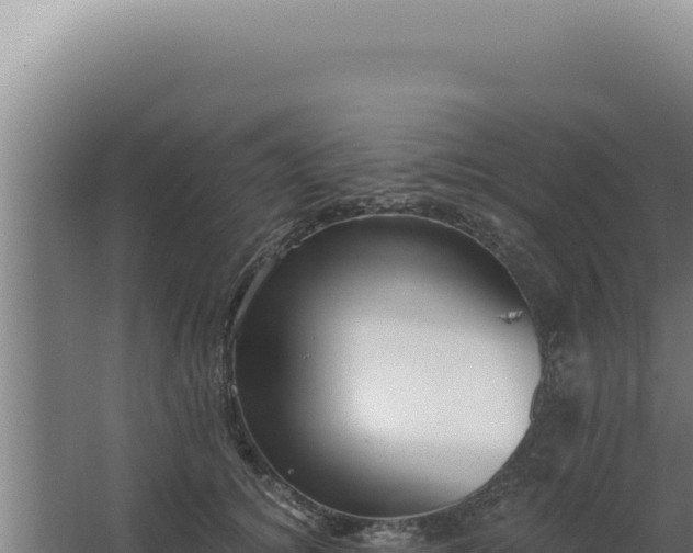 X0000068310756200604281735